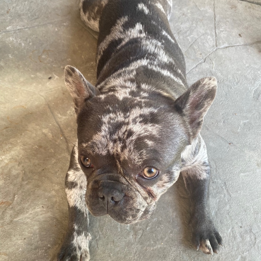 Meet your Posher, Esmeralda